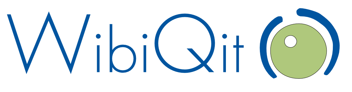 logo-wibiqit